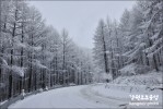 타임캡슐공원 아름다운 겨울 풍경 